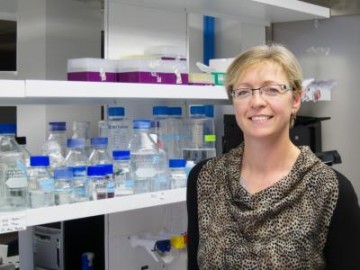 A search to restore sight
